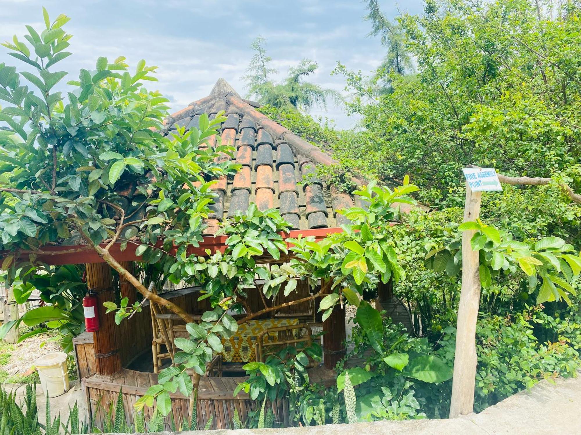 Kivu Macheo Eco-Lodge Kibuye Екстер'єр фото